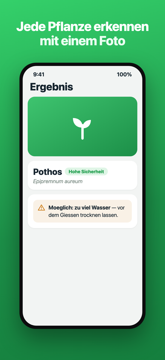 Brotia-Kamera, die eine Pflanze zur Identifizierung einrahmt
