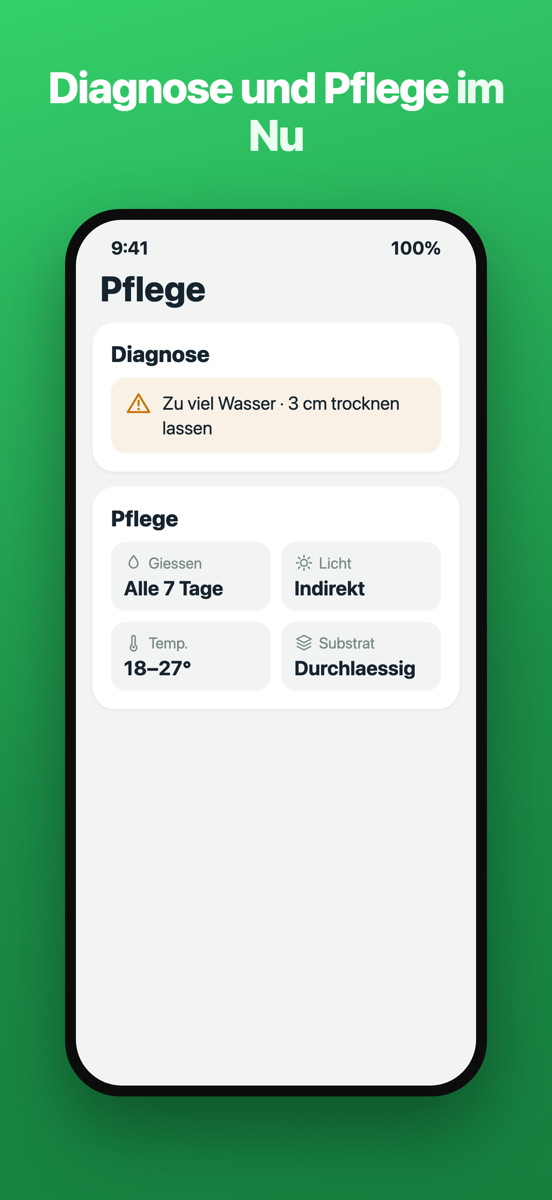Brotia-Diagnosebildschirm mit einem Problem und einer Lösung