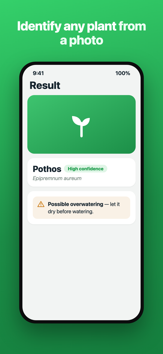 Brotia home screen: identify a plant from a single photo