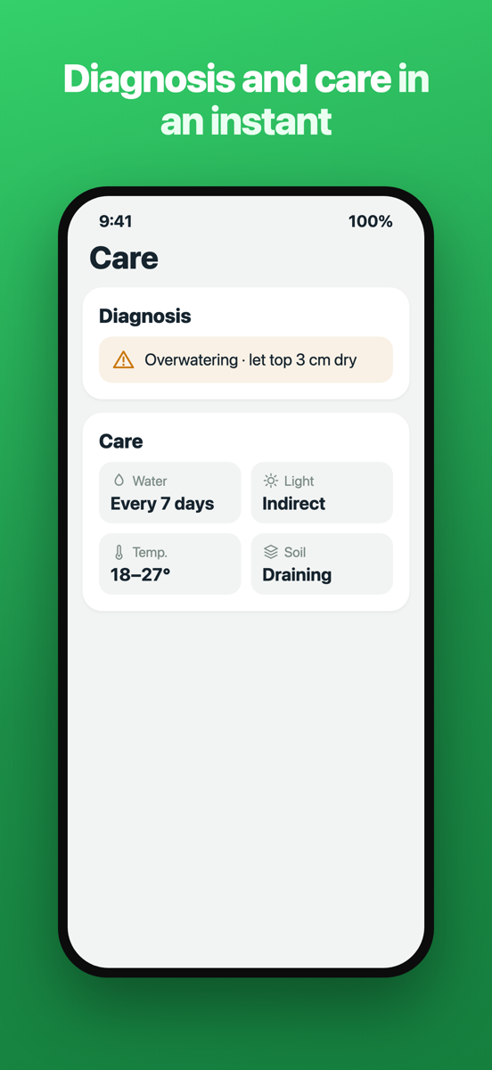 Brotia diagnosis screen with a problem and a fix