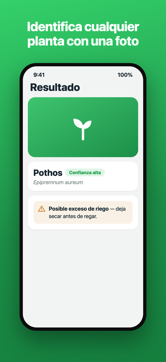 Cámara de Brotia encuadrando una planta para identificarla