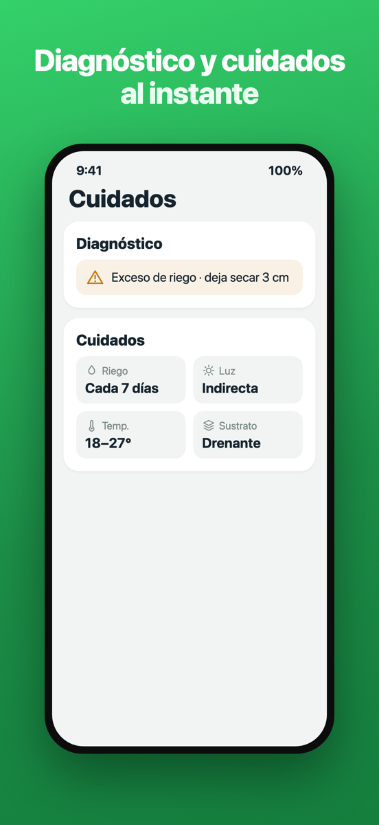 Pantalla de diagnóstico de Brotia con un problema y su solución