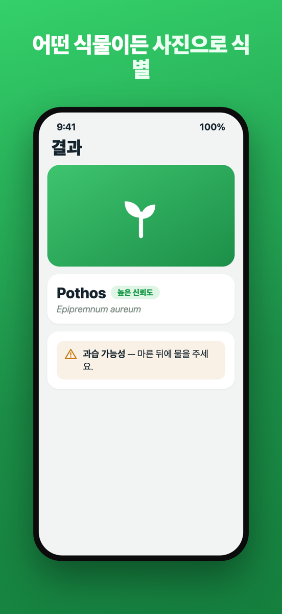 식물을 식별하기 위해 화면에 담는 Brotia 카메라