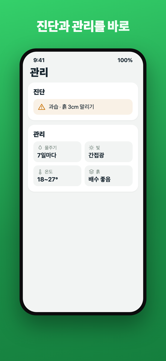 문제와 해결책이 표시된 Brotia 진단 화면