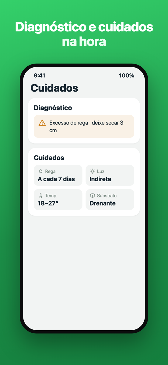 Tela de diagnóstico do Brotia com um problema e sua solução